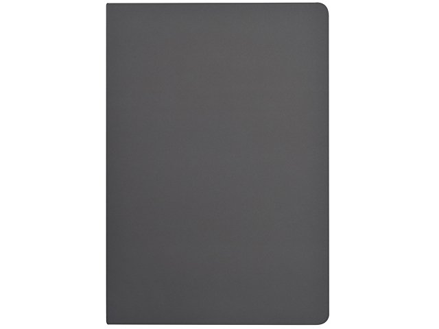 Бизнес-тетрадь А5 «Pragmatic Contrast»