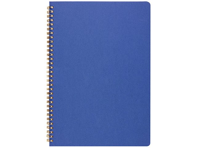 Бизнес-тетрадь А4 "Pragmatic"