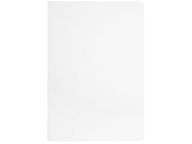 Бизнес-тетрадь А5 «Pragmatic Contrast»