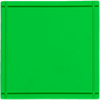 Лейбл из ПВХ Dzeta, L, зеленый неон