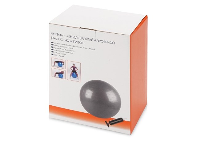 Фитбол с насосом «Уинсор»