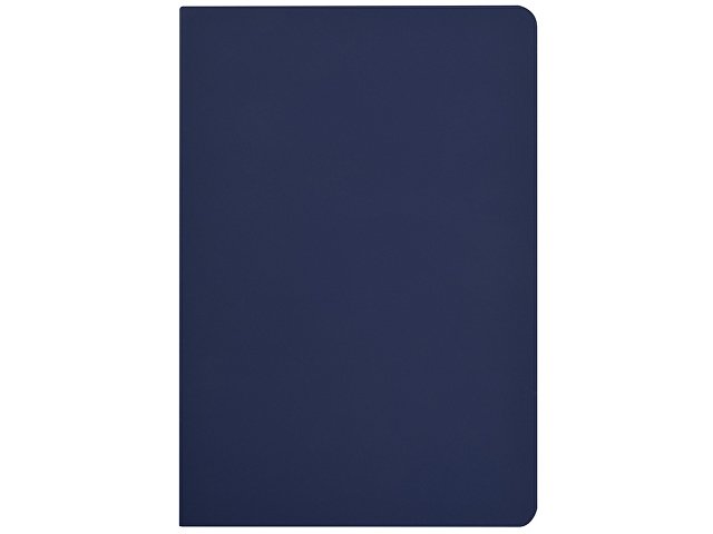 Бизнес-тетрадь А5 «Pragmatic Contrast»