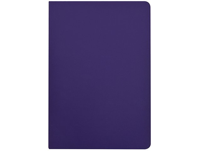 Бизнес-тетрадь А5 «Pragmatic Contrast»