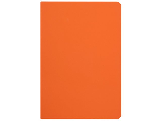 Бизнес-тетрадь А5 «Pragmatic Contrast»