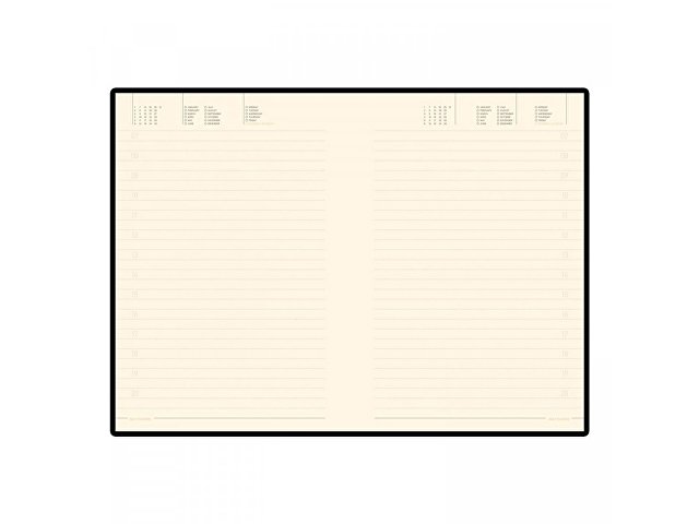 Ежедневник недатированный B5 «Tintoretto New»