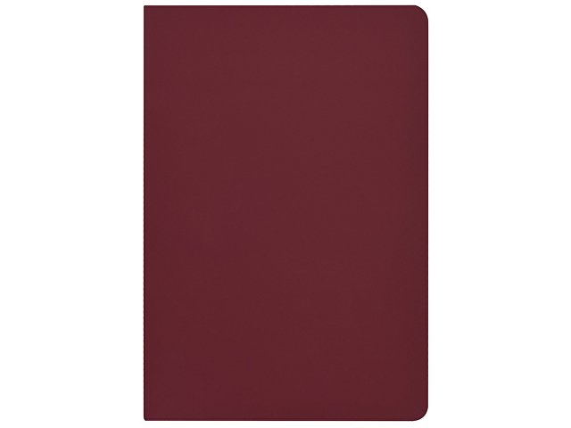 Бизнес-тетрадь А5 «Pragmatic Contrast»