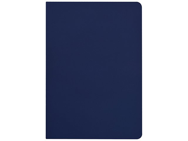 Бизнес-тетрадь А5 «Pragmatic Contrast»