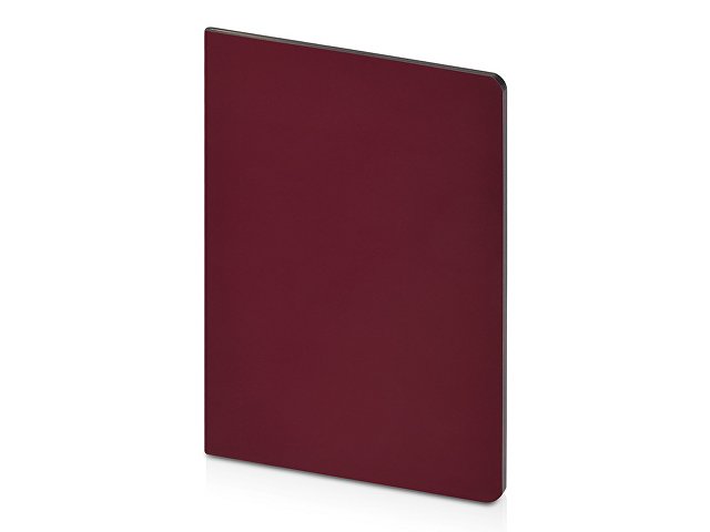 Бизнес-тетрадь А5 «Pragmatic Contrast»