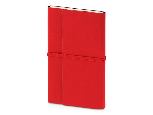 Ежедневник недатированный А5 «Valencia»