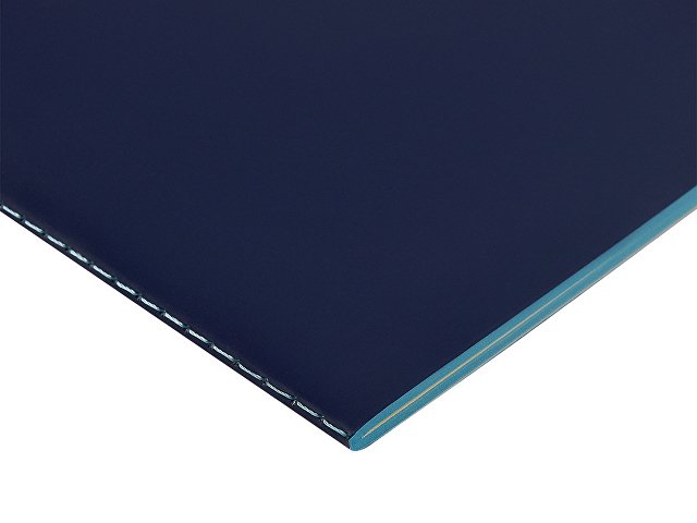 Бизнес-тетрадь А5 «Pragmatic Contrast»