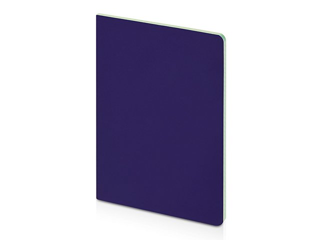 Бизнес-тетрадь А5 «Pragmatic Contrast»