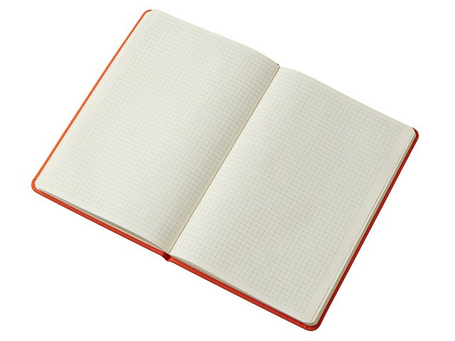 Блокнот в твердой обложке A5 «Виспи» в клетку