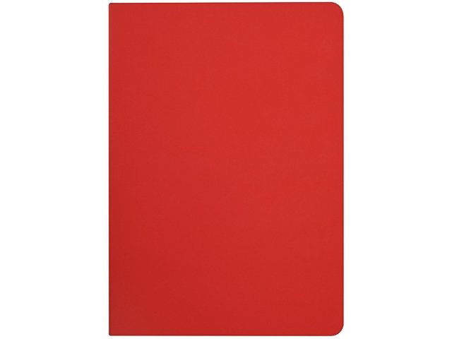 Бизнес-тетрадь А5 «Pragmatic Contrast»