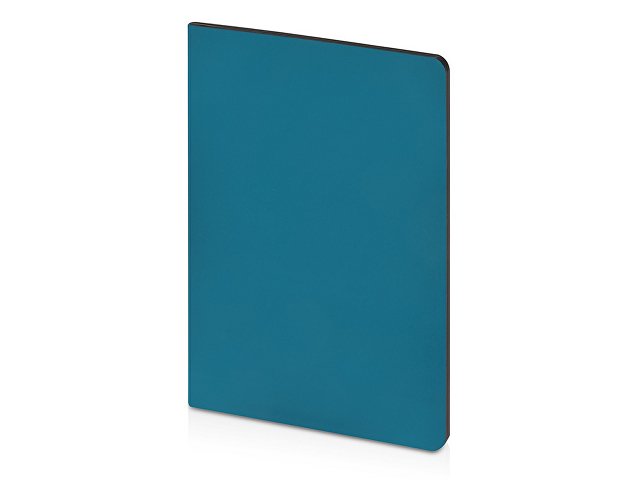 Бизнес-тетрадь А5 «Pragmatic Contrast»