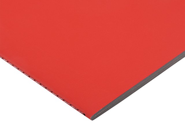 Бизнес-тетрадь А5 «Pragmatic Contrast»