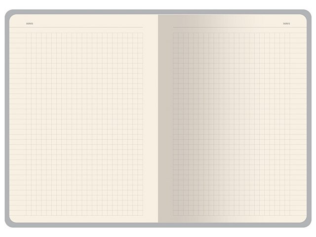 Бизнес-тетрадь А5 «Pragmatic Contrast»