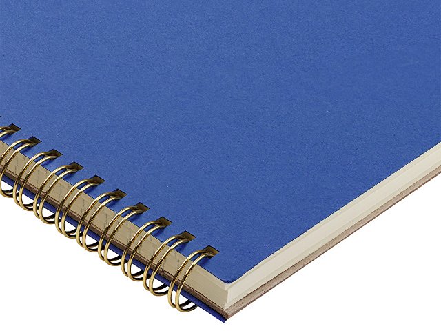 Бизнес-тетрадь А4 "Pragmatic"