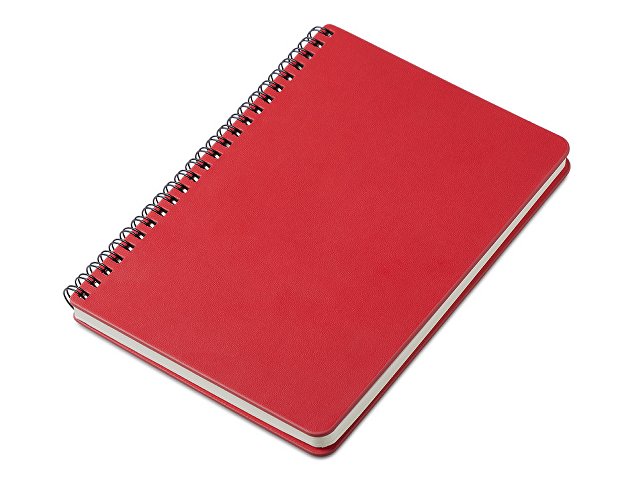 Блокнот А5 «Дантэ»