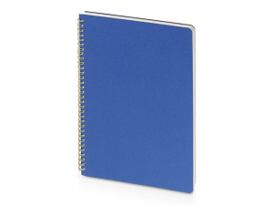 Бизнес-тетрадь А4 "Pragmatic"