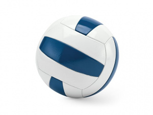 Волейбольный мяч